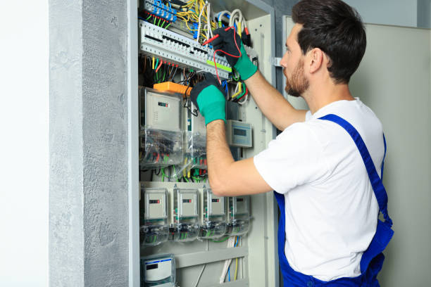 Best Electric Panel Repair  in St Paul, VA